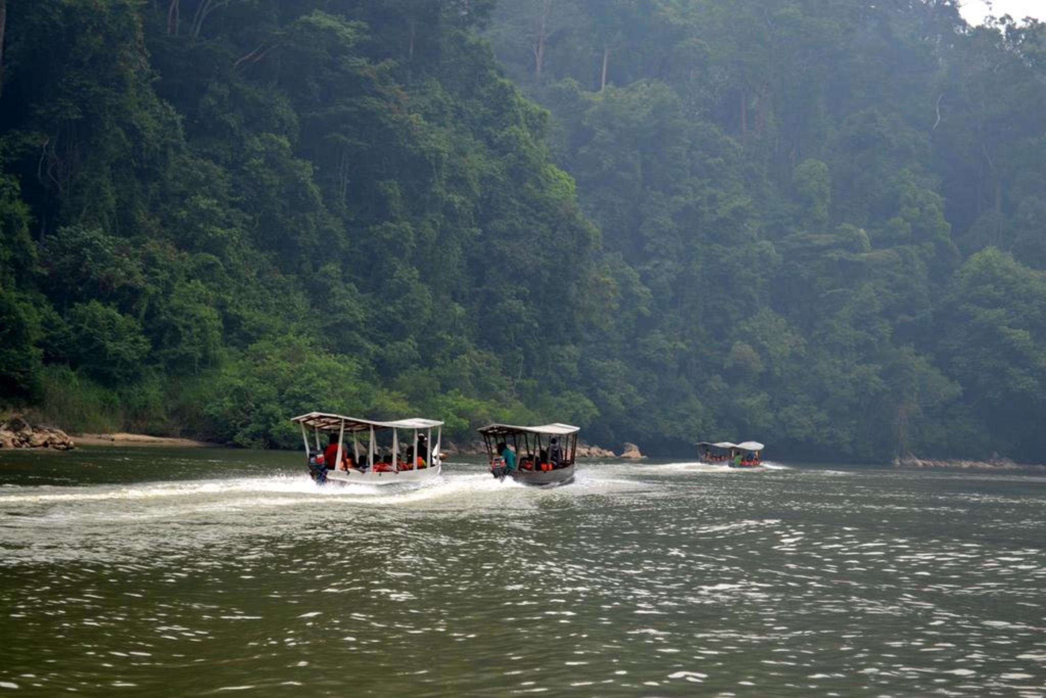 Hotel Mutiara Taman Negara Kuala Tahan Exteriér fotografie