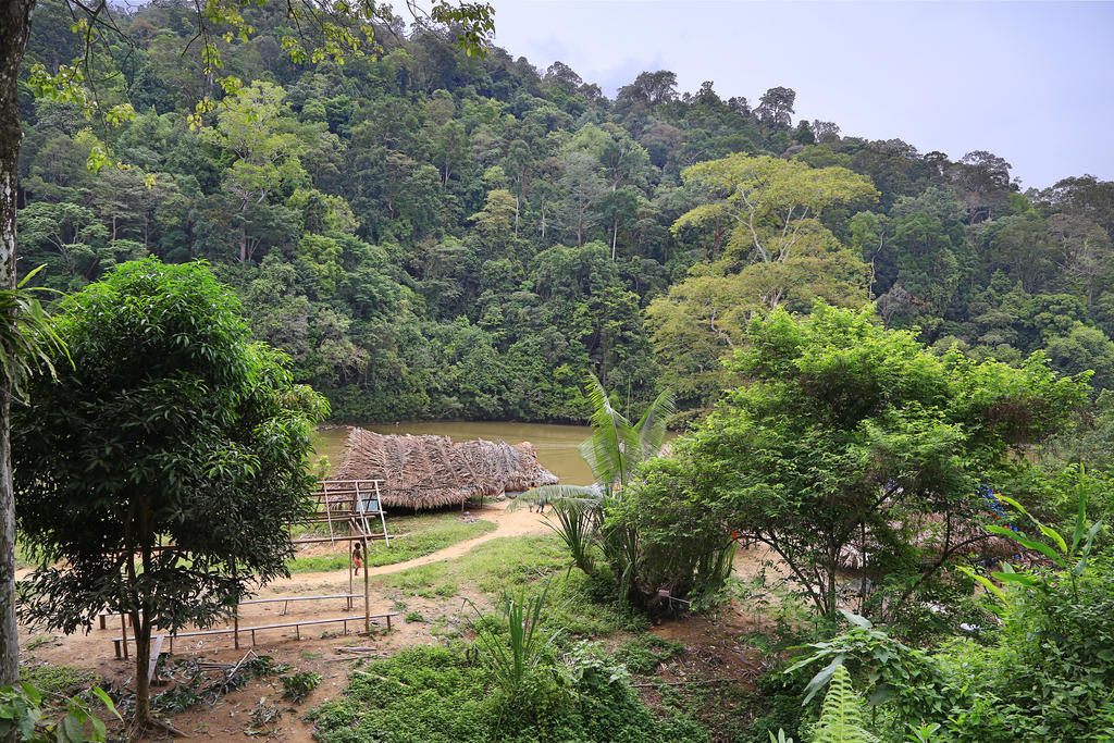 Hotel Mutiara Taman Negara Kuala Tahan Exteriér fotografie