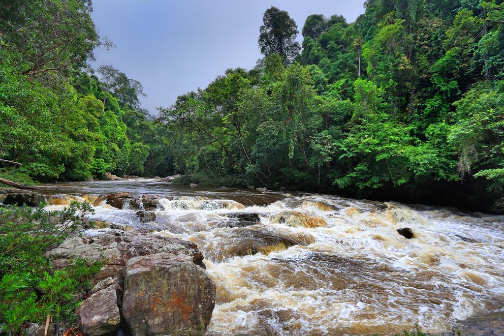 Hotel Mutiara Taman Negara Kuala Tahan Exteriér fotografie